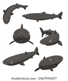 Cute Greenland Shark Poses Set Cartoon Vector