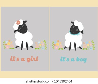 Cute greeting card with funny sheep in the flower meadow and flowers and lettering Is a girl and it's a boy. Cover template with adorable cartoon animals . Children vector illustration in flat design.