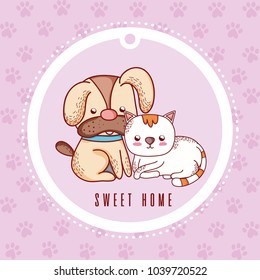 Cute greeting card with pets cartoon