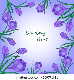 Cute Greeting card with the words "spring Time" and flowers.Vector illustration with,purple crocuses.Can be used as greeting cards, wedding invitations, birthday,spring or summer holiday,celebration.