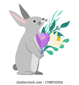 Cute grey bunny with the bouquet of flowers (narcissus, crocus and leaves). Flat vector illustration isolated on white background. Cartoon style