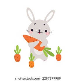 Cute Grey Bunny Character Holding Ripe Carrot Crop Vector Illustration