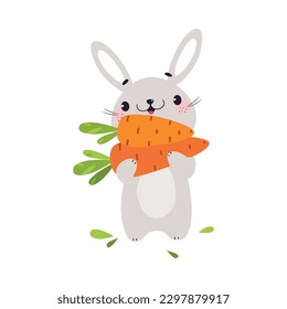 Cute Grey Bunny Character Holding Ripe Carrot Crop Vector Illustration