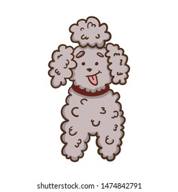 cute grey cartoon poodle dog character