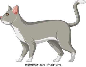 Cute grey cat alone isolated on white background illustration