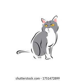 Cute grey cat cartoon isolated on a white in EPS10