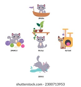 Cute Grey Cat Demonstrating Prepositions with Different Object Vector Set