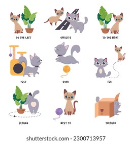 Cute Grey Cat Demonstrating Prepositions with Different Object Vector Set