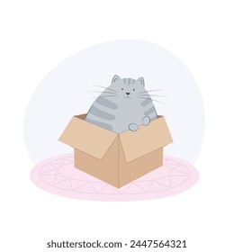 Cute grey cat sits in a cardboard box. Cat behavior, body language and face expressions. Flat vector illustration of a pet