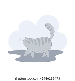 Cute grey cat walks on its own with tail up. Cat behavior, body language and face expressions. Flat vector illustration of a pet