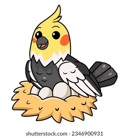 Cute grau cockatiel bird cartoon mit Eiern im nest