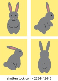 Cute grey colored bunny in 4 different positions 