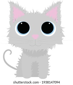 Cute, grey and fluffy cat with big eyes- flat design