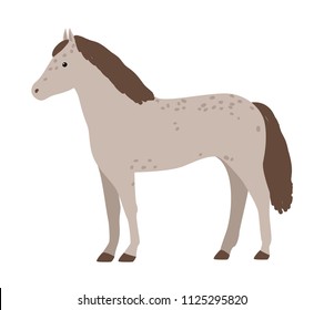 Cute grey horse isolated on white background. Adorable pony with mane. Funny cartoon domestic equine animal, farm livestock. Flat colorful hand drawn vector illustration in modern trendy style.