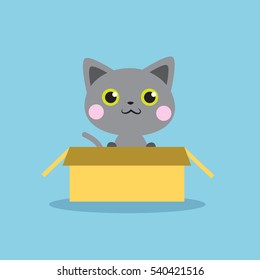 Cute grey kitten in the box isolated vector illustration