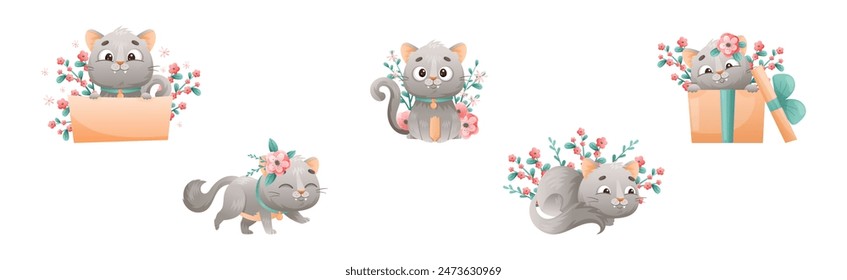 Cute Grey Kitten with Pretty Snout with Flowers Vector Set