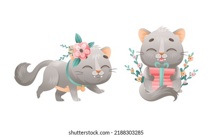 Cute grey kitten set. Lovey playing cat animal with flowers and gift box cartoon vector illustration