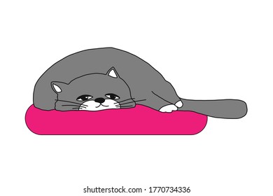Cute grey kitten sleeping on pillows. vector illustration in cartoon style. isolated on white background. cute character. concept ctay at home