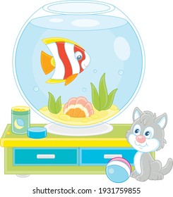 Cute grey kitten watching a funny striped butterfly fish swimming in a round home aquarium with a sea shell and seaweeds, vector cartoon illustration isolated on a white background