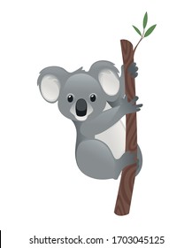 Cute grey koala bear sit on wood branch with green leaves cartoon animal design flat vector illustration isolated on white background