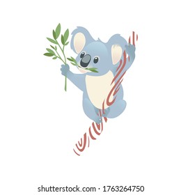 Cute grey koala bear sit on wood branch and eating green leaves cartoon animal design flat vector illustration isolated on white background