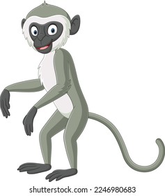 Cute grey langur monkey cartoon