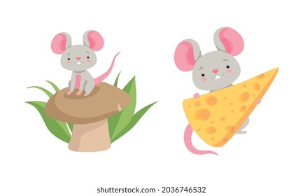 Cute Grey Mouse Character Sitting on Mushroom and Carrying Cheese Slab Vector Set