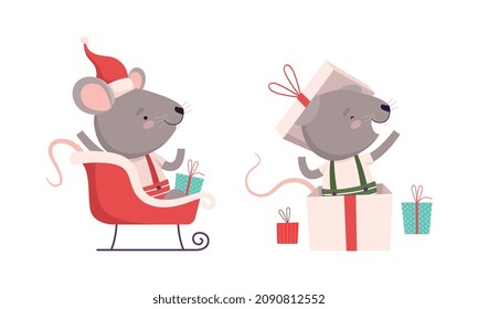 Cute Grey Mouse in Christmas Santa Hat Jumping Out of Gift Box and Riding Sledge Vector Set