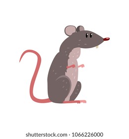 Cute grey mouse, funny rodent character vector Illustration on a white background