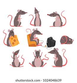 Cute grey mouse set, funny rodent character in different situations vector Illustrations