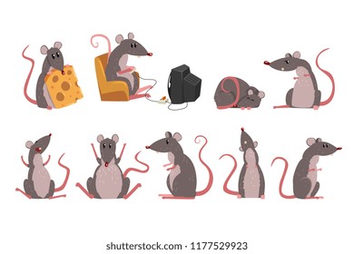 Cute grey mouse set, funny rodent character in different situations vector Illustrations