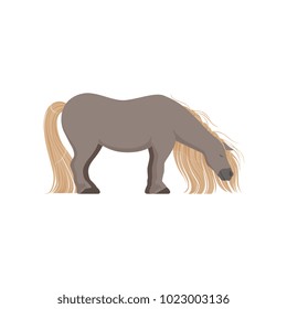 Cute grey pony, thoroughbred horse vector Illustration