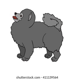 Cute grey spitz isolated on white background. Funny dog. Vector illustration.  Eps 10.