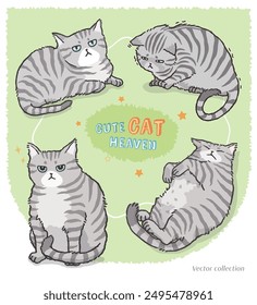 Cute grey tabby vector set. Isolated cartoon cat illustration with funny poses and faces.