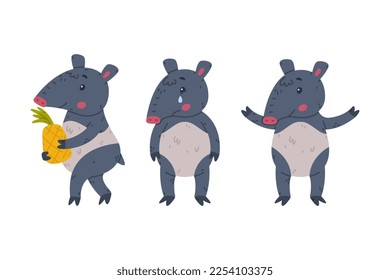 Cute Grey Tapir Animal with Proboscis Standing, Crying and Carrying Pineapple Vector Set