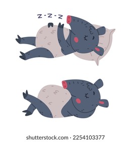 Cute Grey Tapir Animal with Proboscis Lying and Sleeping on Pillow Vector Se