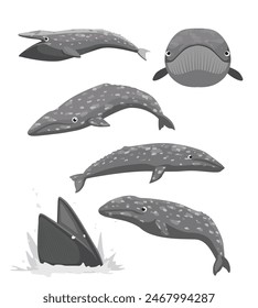 Cute Grey Whale Poses Set Cartoon Vector