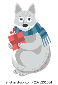 Cute grey wolf in a blue striped scarf holds a red christmas gift in its paws. Cartoon vector illustration in flat style.