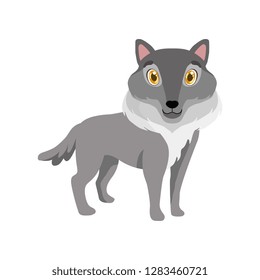 Cute grey wolf, lovely animal cartoon character vector Illustration