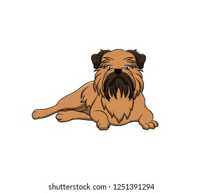 Cute Griffon Bruxellois Cartoon Dog. Vector illustration of purebred griffon bruxellois dog.