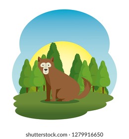 cute grizzly bear in the field scene