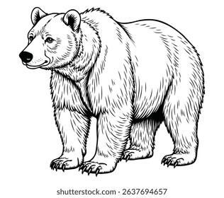 Cute grizzly bear Illustration Coloring Book