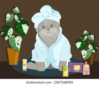 Cute grooming kit, jars of tissues for the daily routine. Cute cat in robe. Home relax after bath
