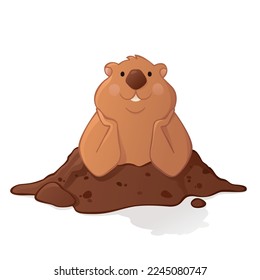 Cute groundhog animal isolated vector for Groundhog day