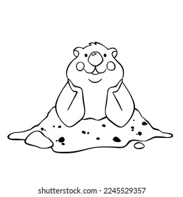 Cute groundhog animal vector coloring book outline sketch