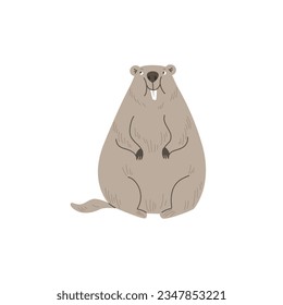 Cute groundhog, cartoon flat vector illustration isolated on white background. Funny animal drawing. Cheerful woodchuck or marmot.