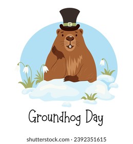 Cute groundhog character in hat in snow with snowdrops predicts spring weather. Holiday card Groundhog Day February 2. Vector illustration 