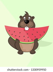 cute groundhog eats watermelon, vector illustration, Groundhog Day