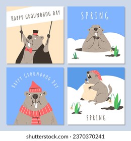 Cute groundhog greeting spring posters set. Wild ground animal, woodchuck mammal enjoying spring. Cartoon funny furry marmot with big front teeth vector illustrations. Happy groundhog day