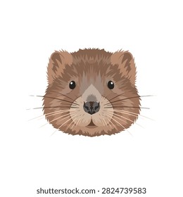 Cute Groundhog Head Vector Illustration Isolated on White Background for Woodchuck Day Decoration